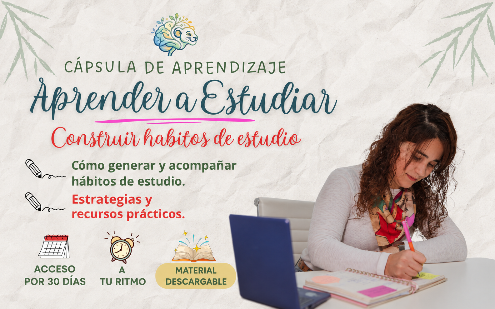 Cápsula Aprender a Estudiar: Construir hábitos de estudio